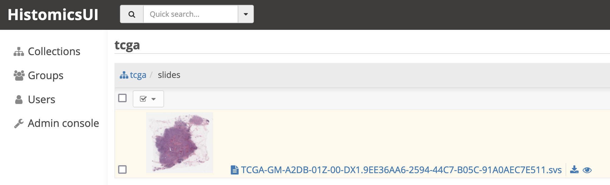 DSA Organization Screenshot