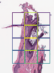 ../_images/tutorials_4_inference-and-visualization_18_0.png